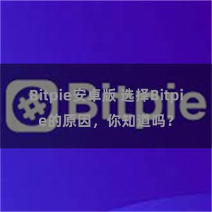 Bitpie安卓版 选择Bitpie的原因，你知道吗？