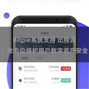 Bitpie系统支持 比特派：全方位保护用户数字资产安全