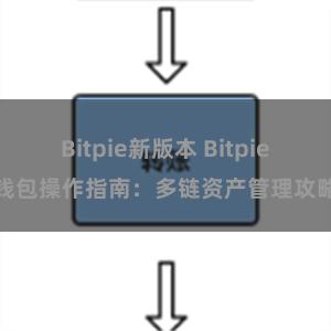 Bitpie新版本 Bitpie钱包操作指南：多链资产管理攻略