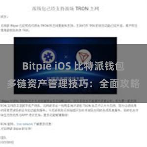 Bitpie iOS 比特派钱包多链资产管理技巧：全面攻略