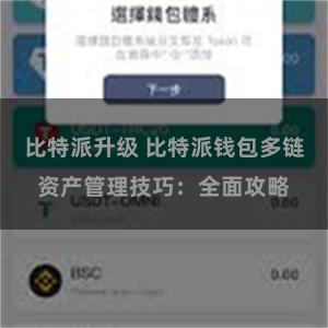 比特派升级 比特派钱包多链资产管理技巧：全面攻略