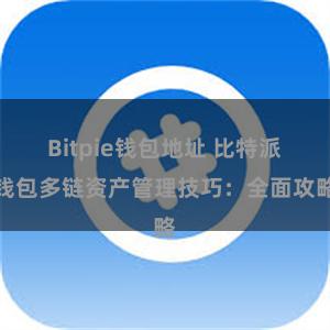 Bitpie钱包地址 比特派钱包多链资产管理技巧：全面攻略