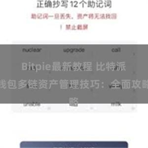 Bitpie最新教程 比特派钱包多链资产管理技巧：全面攻略