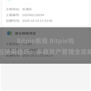 Bitpie教程 Bitpie钱包使用技巧：多链资产管理全攻略