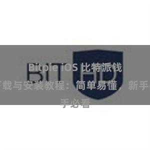 Bitpie iOS 比特派钱包下载与安装教程：简单易懂，新手必看