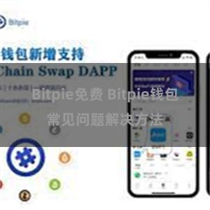 Bitpie免费 Bitpie钱包常见问题解决方法