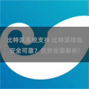 比特派系统支持 比特派钱包安全可靠？优势全面解析!