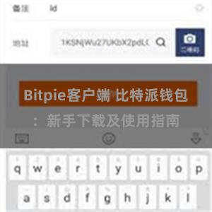 Bitpie客户端 比特派钱包：新手下载及使用指南