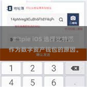 Bitpie iOS 选择比特派作为数字资产钱包的原因。