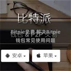 Bitpie免费 解决Bitpie钱包常见使用问题