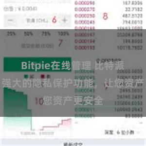 Bitpie在线管理 比特派钱包：强大的隐私保护功能，让您资产更安全