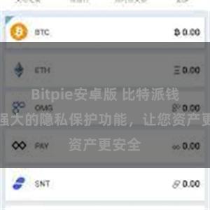 Bitpie安卓版 比特派钱包：强大的隐私保护功能，让您资产更安全