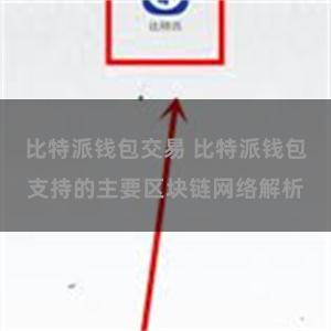 比特派钱包交易 比特派钱包支持的主要区块链网络解析