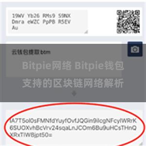 Bitpie网络 Bitpie钱包支持的区块链网络解析