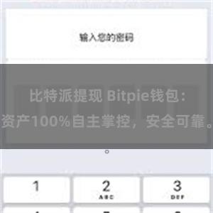 比特派提现 Bitpie钱包：资产100%自主掌控，安全可靠。