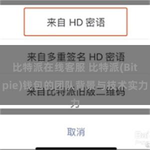 比特派在线客服 比特派(Bitpie)钱包的团队背景与技术实力