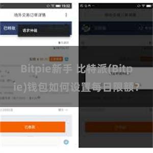 Bitpie新手 比特派(Bitpie)钱包如何设置每日限额？