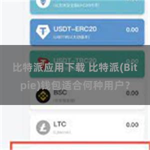 比特派应用下载 比特派(Bitpie)钱包适合何种用户？