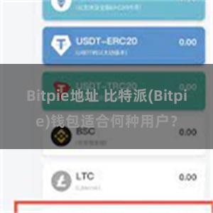 Bitpie地址 比特派(Bitpie)钱包适合何种用户？