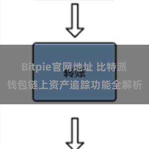 Bitpie官网地址 比特派钱包链上资产追踪功能全解析