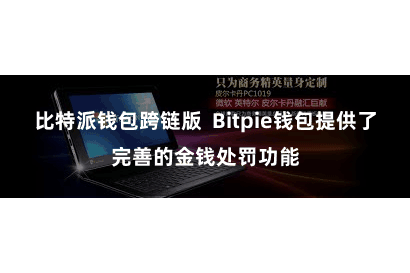 比特派钱包跨链版  Bitpie钱包提供了完善的金钱处罚功能